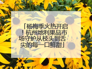 杨梅季火热开启！杭州地利果品市场守护从枝头到舌尖的每一口鲜甜